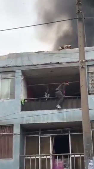 Sem-abrigo trepa prédio em chamas e salva 27 cães. Veja o vídeo do resgate emocionante