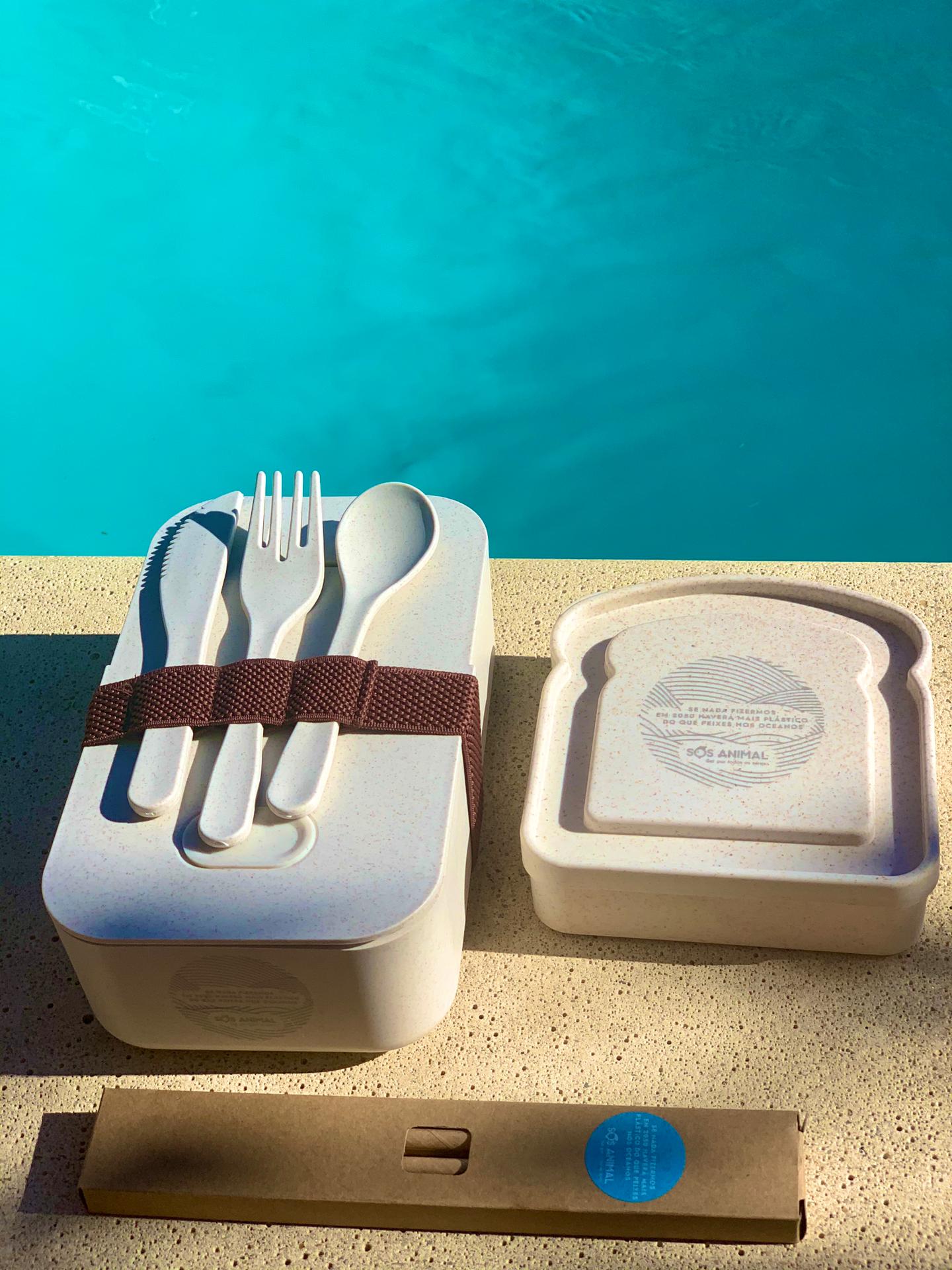 Da garrafa reutilizável ao carregador, 15 formas de ajudar a SOS Animal a salvar os amigos patudos