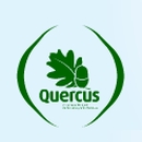 Natal. 40 sugestões de presentes para os miúdos até 50€