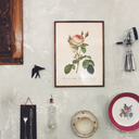 3 F's. Neste restaurante saudável, é tudo feito como se estivesse em casa