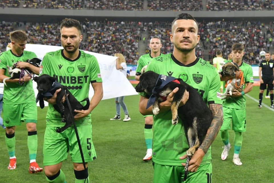 Jogadores de futebol passam a entrar em campo com cães abandonados para promover a adoção