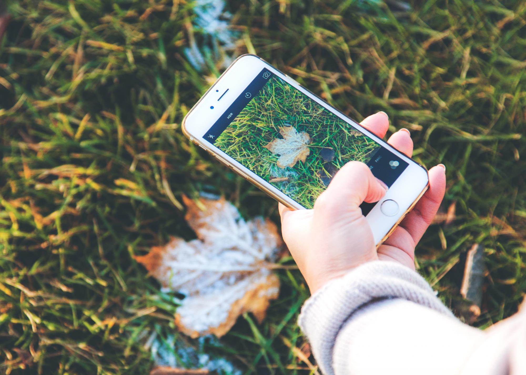 O Instagram pode vir a esconder o número de gostos que as suas fotos recebem