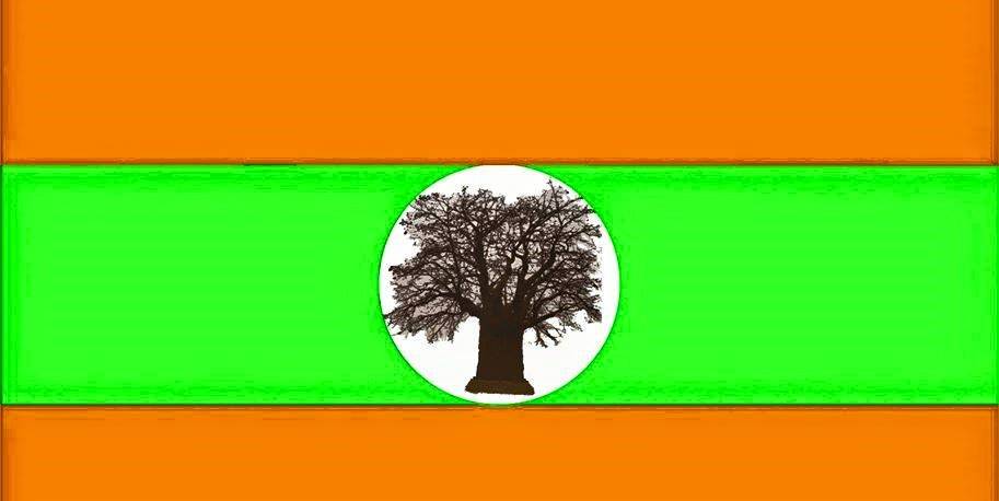 Aliança Patriótica Nacional