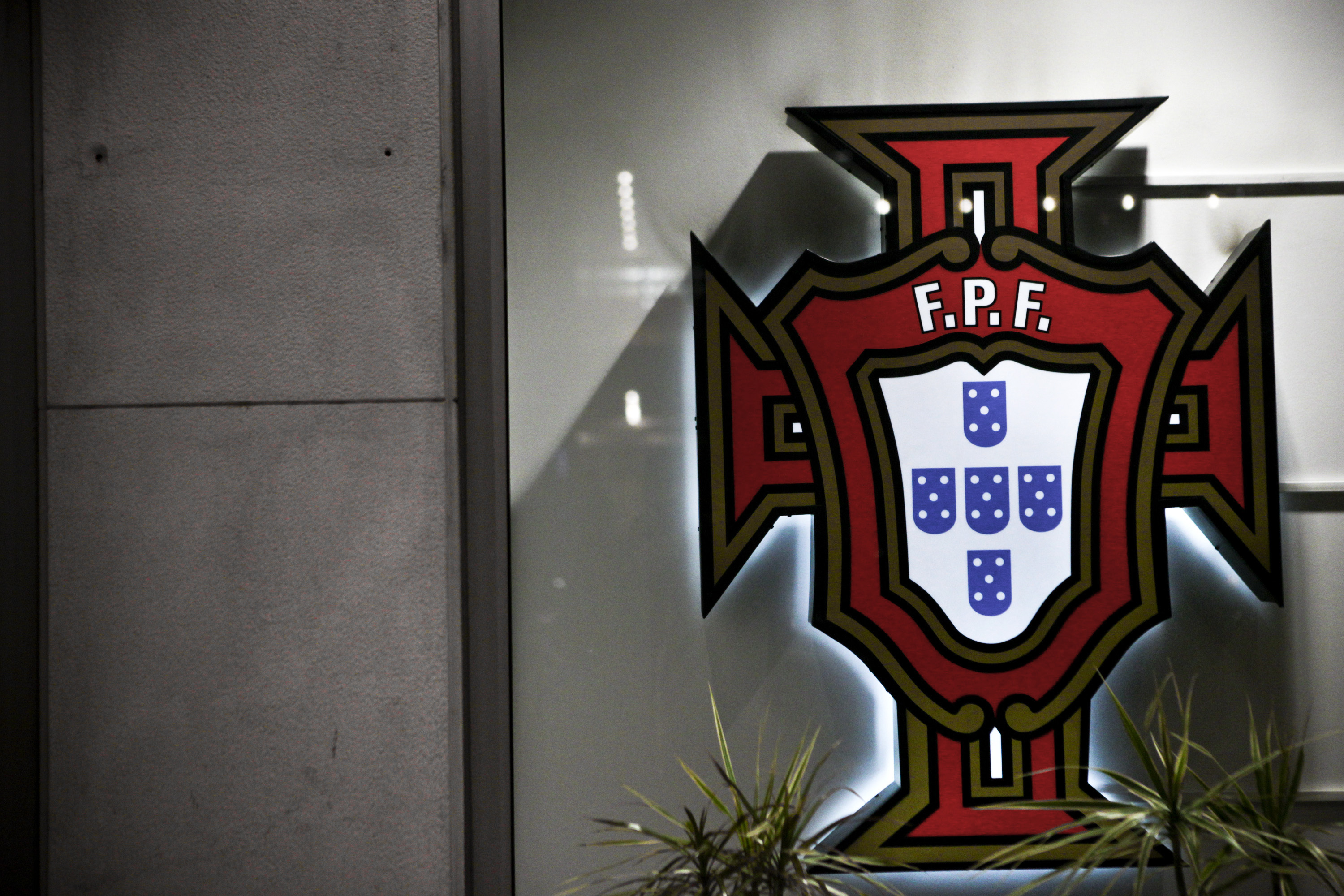 Federação Portuguesa de Futebol apoia