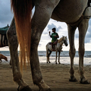 As 19 melhores imagens do concurso de fotografia da National Geographic