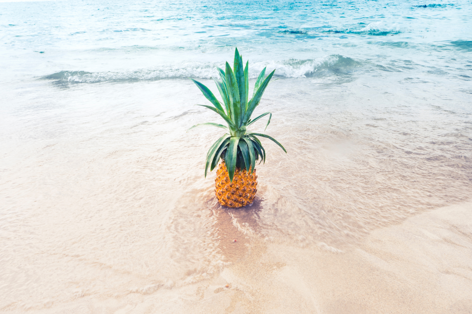 Como é que devem ser as marmitas para levar para a praia?