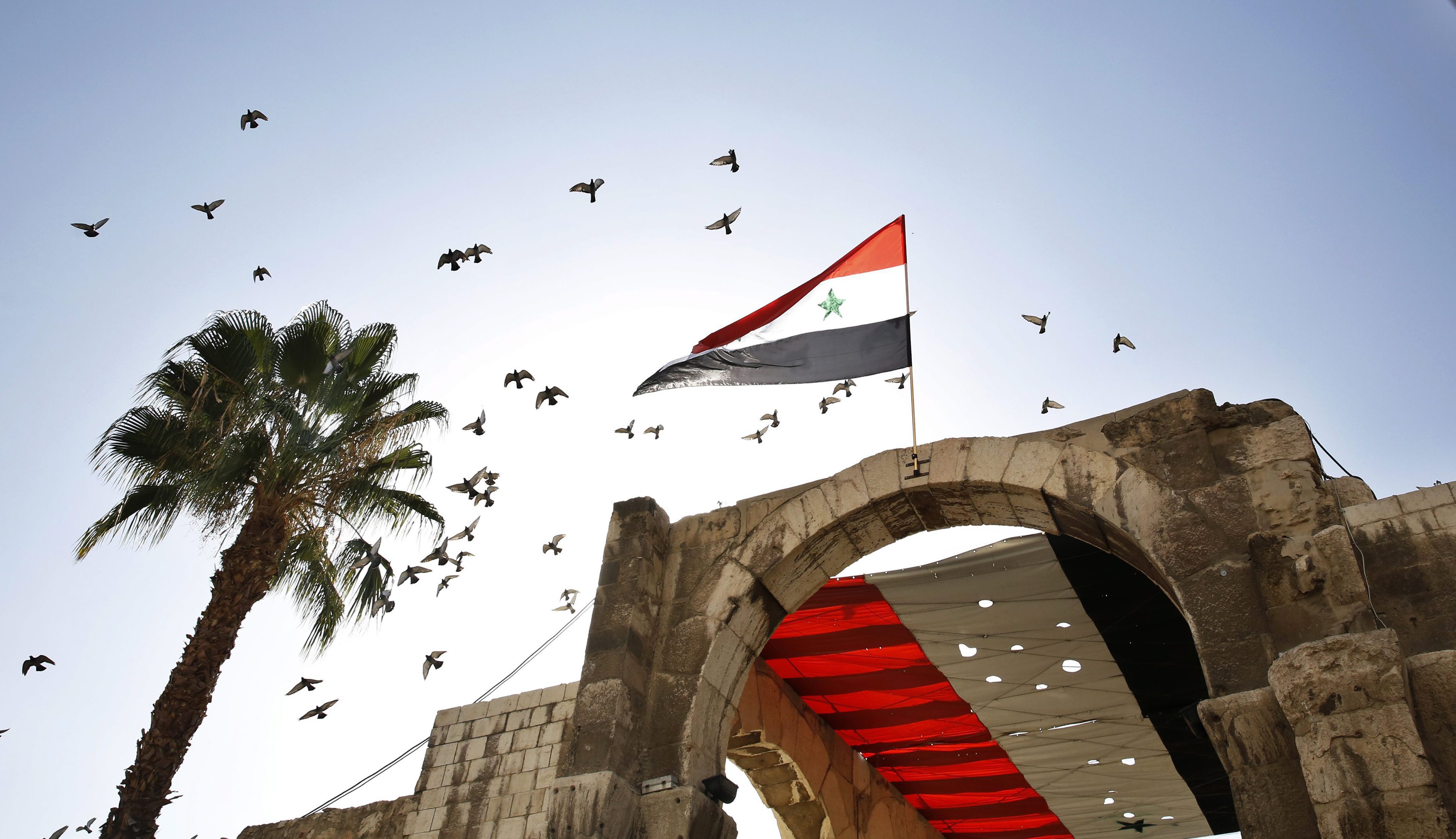 43 elementos do regime sírio e 28 'jihadistas' morrem em combates nas últimas 48 horas