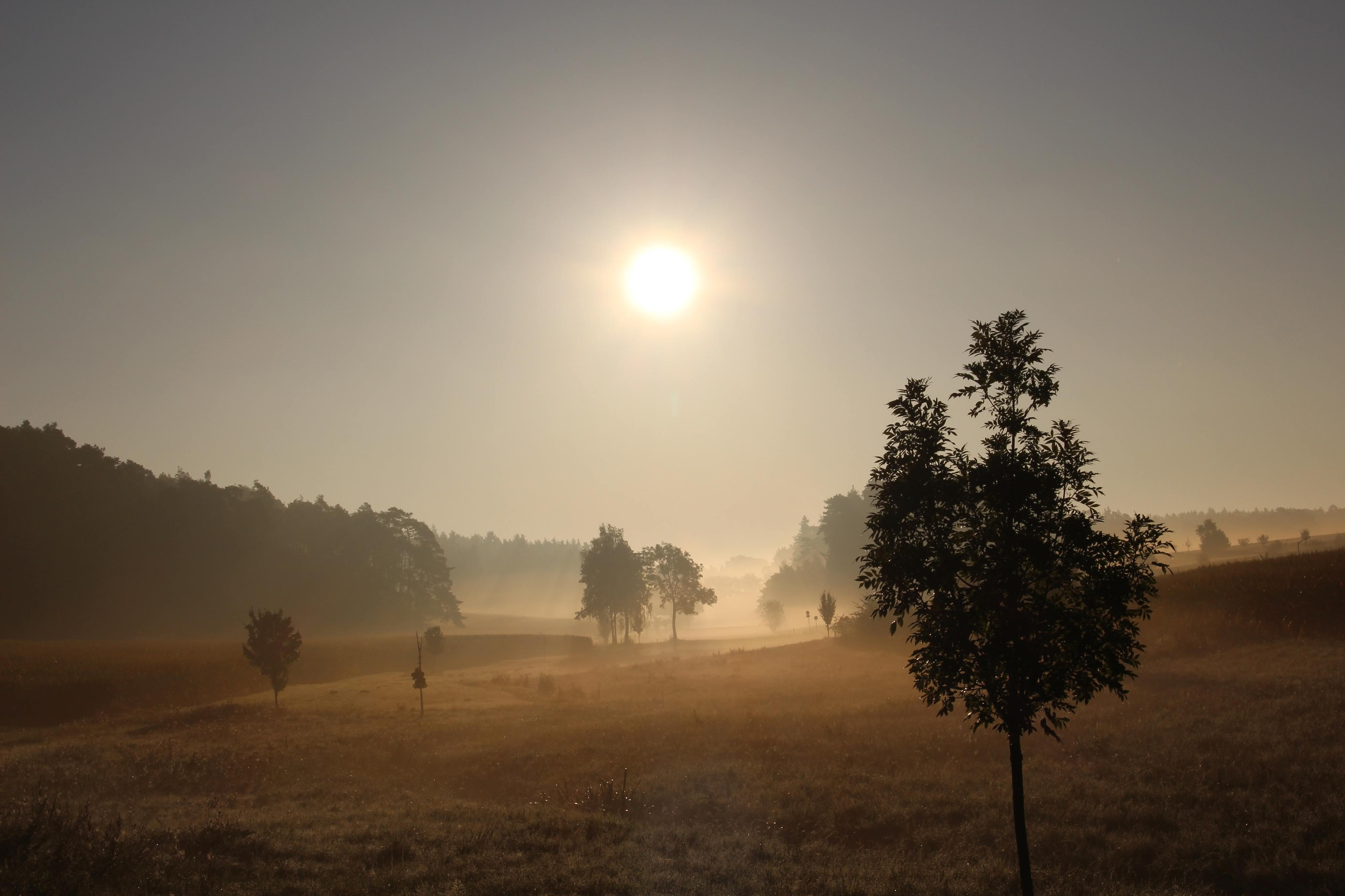 Temperaturas de (quase) 40ºC e poeiras do Saara estão a chegar. Saiba como se deve proteger