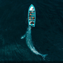 As 19 melhores imagens do concurso de fotografia da National Geographic