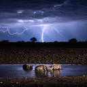 As 19 melhores imagens do concurso de fotografia da National Geographic