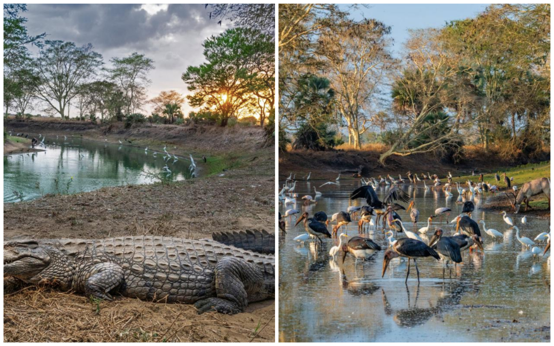Estas são as 50 melhores fotografias de 2019