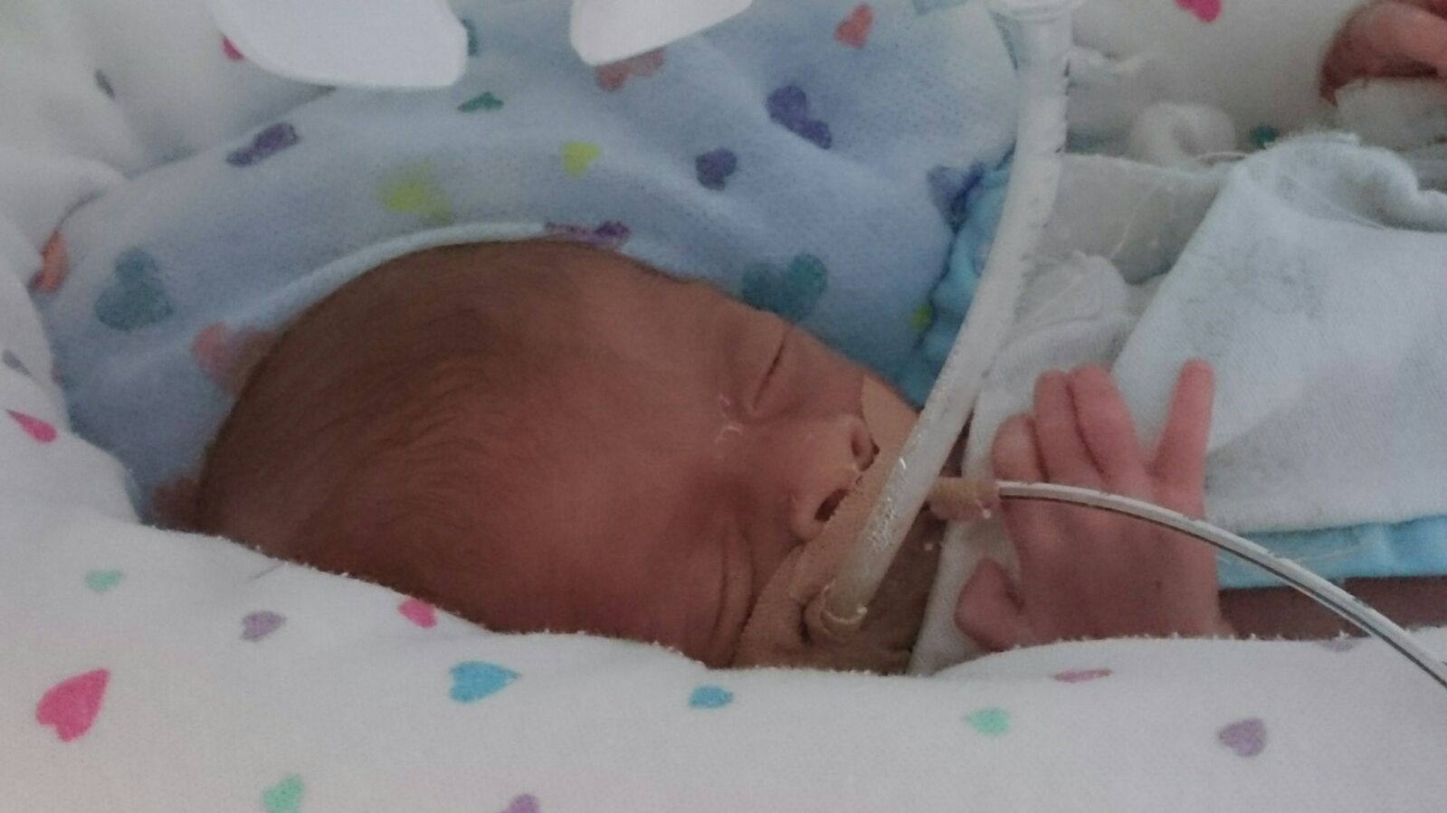 “Os bebés prematuros agarram-se à vida como nenhum adulto se agarra”