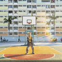 As 19 melhores imagens do concurso de fotografia da National Geographic