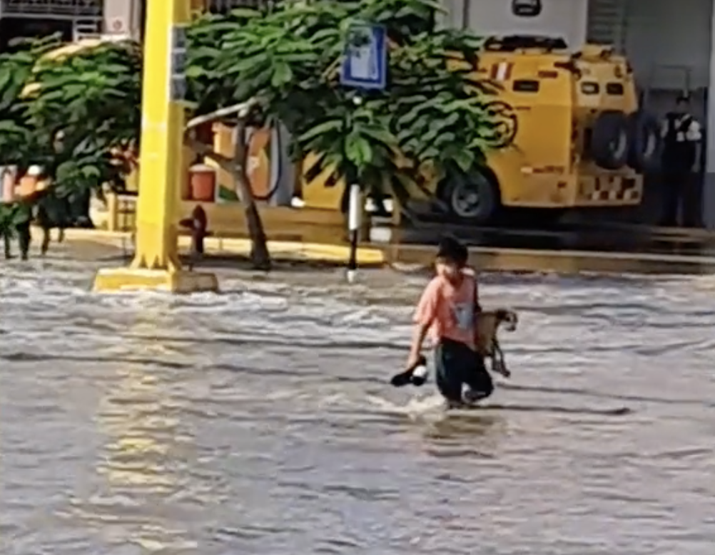 Criança enfrenta um rio causado pelas cheias para salvar um cão. E já é um herói nas redes sociais