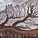 As 19 melhores imagens do concurso de fotografia da National Geographic