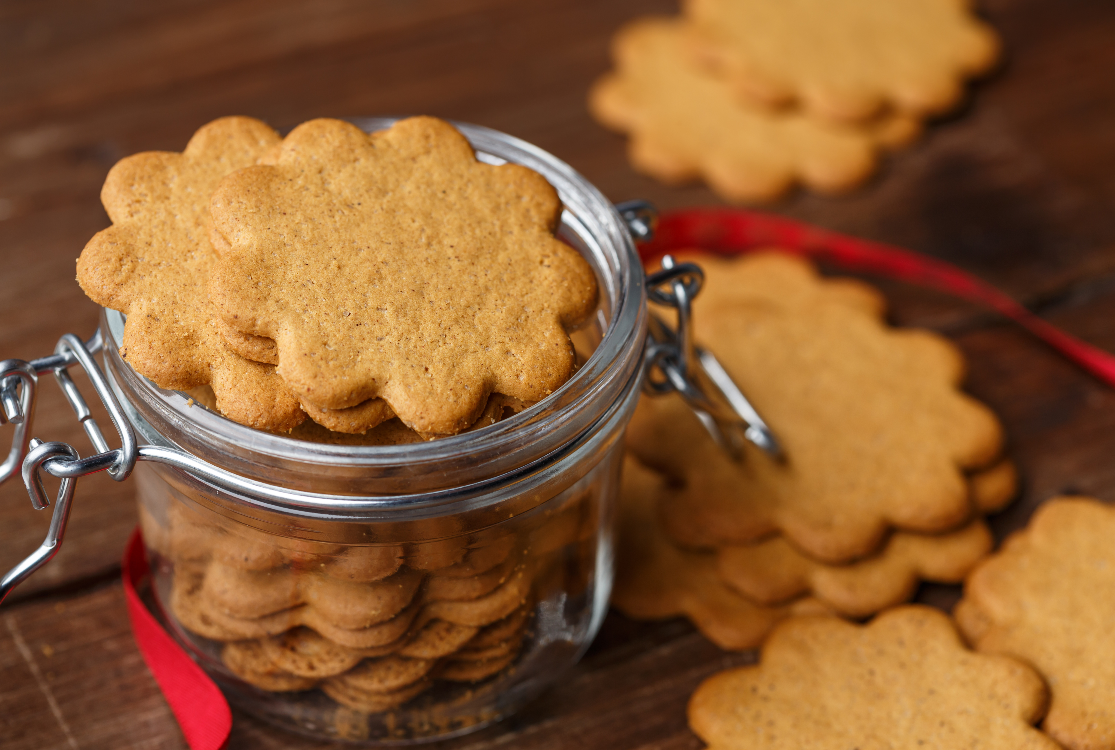 Biscoitos De Gengibre | SAPO Lifestyle