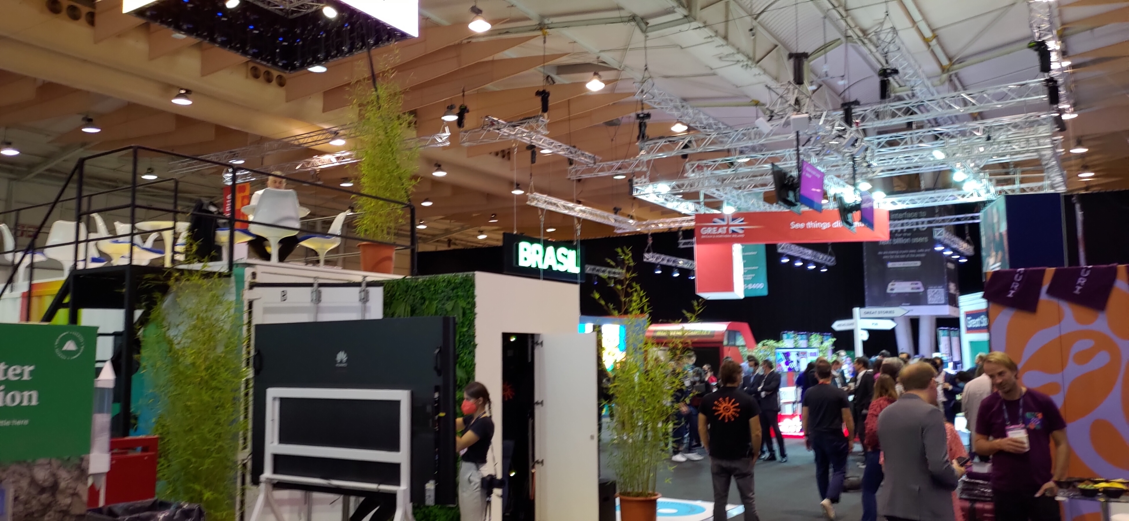 Estes patudos estão à procura de uma família. Conheça as instituições que os acolhem