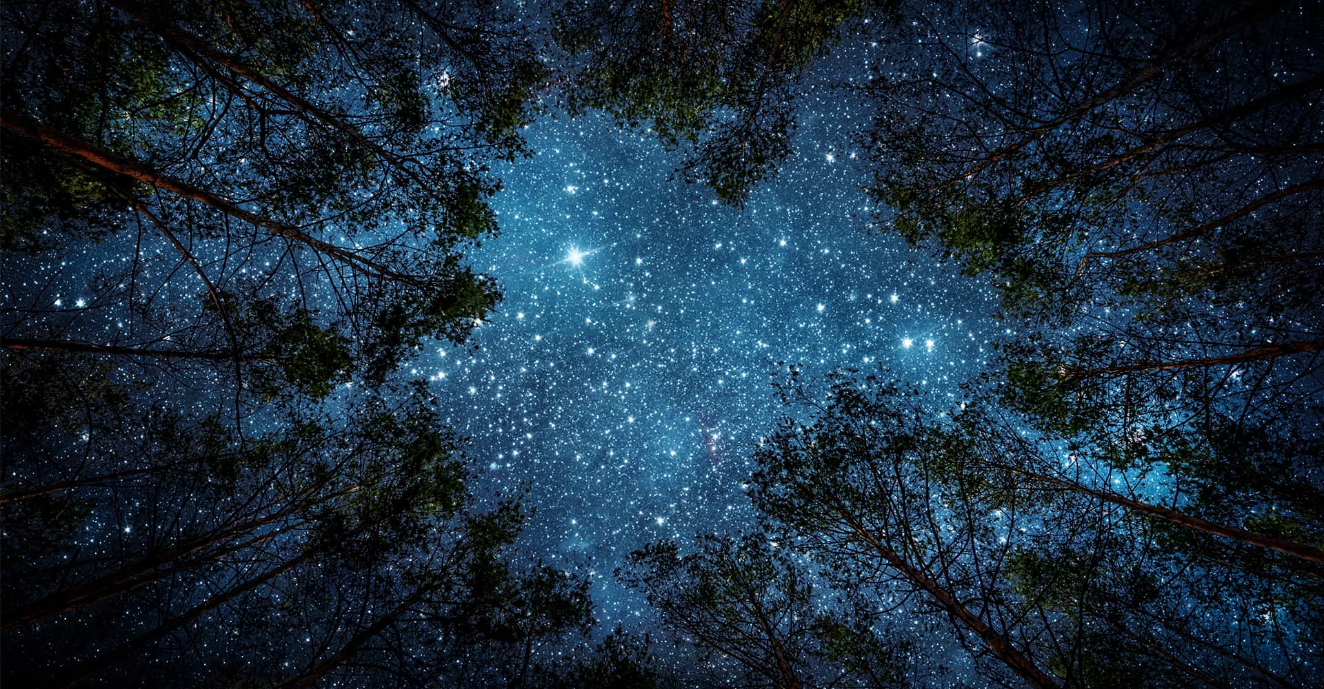 Inspire-se nos looks que A Pipoca Mais Doce usou nos diários do “Big Brother”