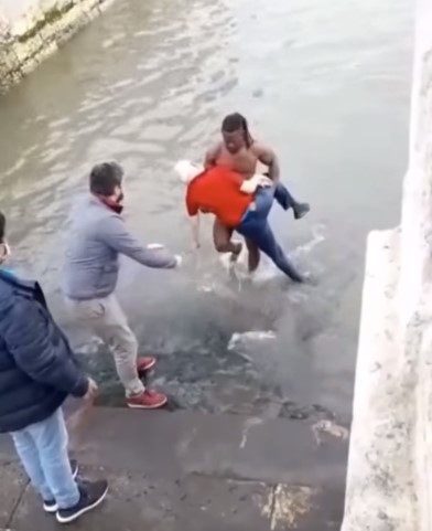 Saiba quem é José Brito, o cabo-verdiano que se atirou ao Tejo para salvar homem de 68 anos