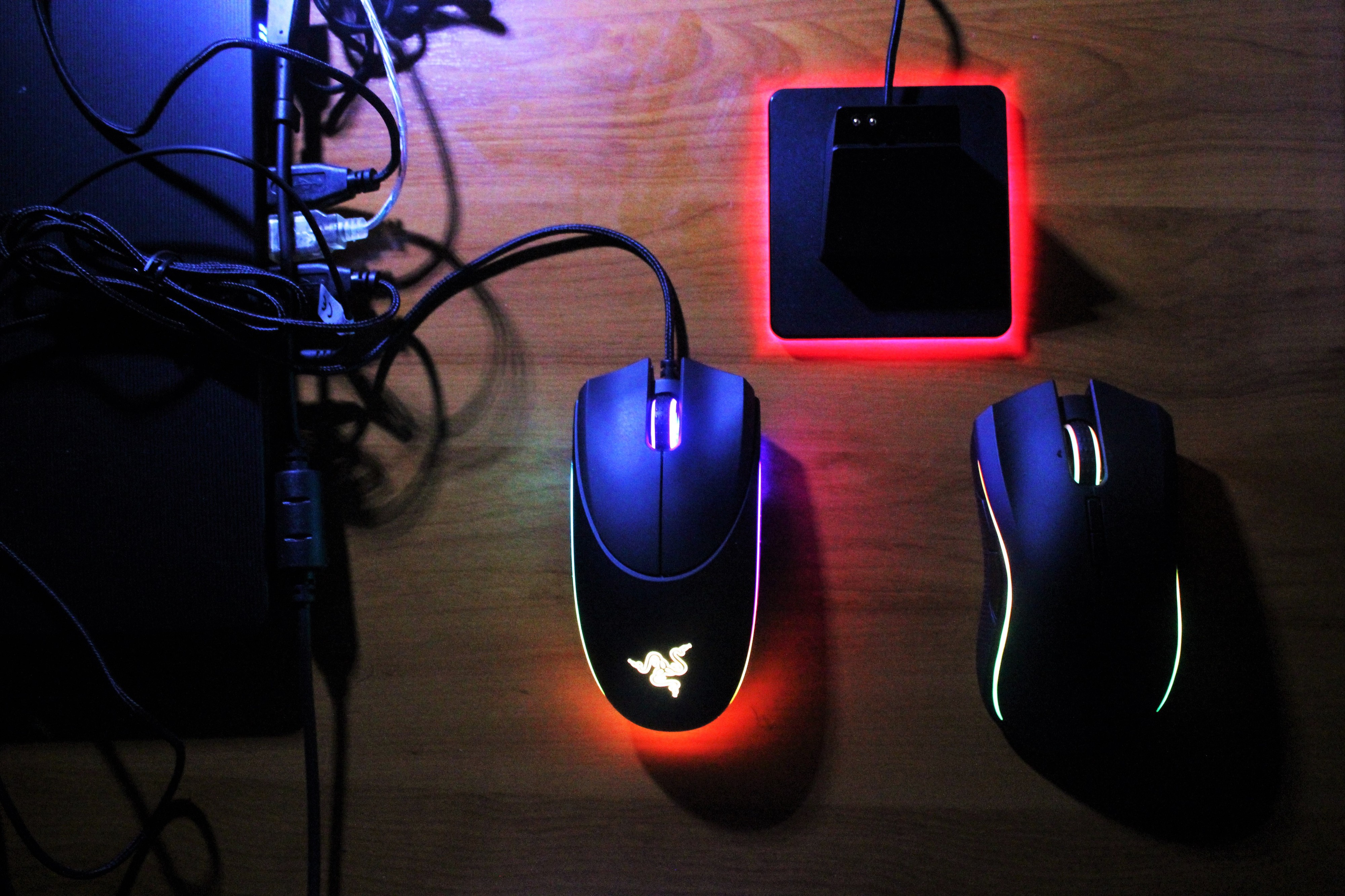 6 coisas para fazer este fim de semana — em Lisboa e no Porto. Espreite as sugestões