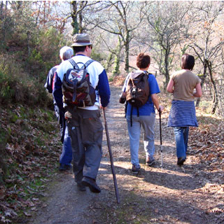 Caranguejos eremitas protegem-se com plástico e acabam por morrer