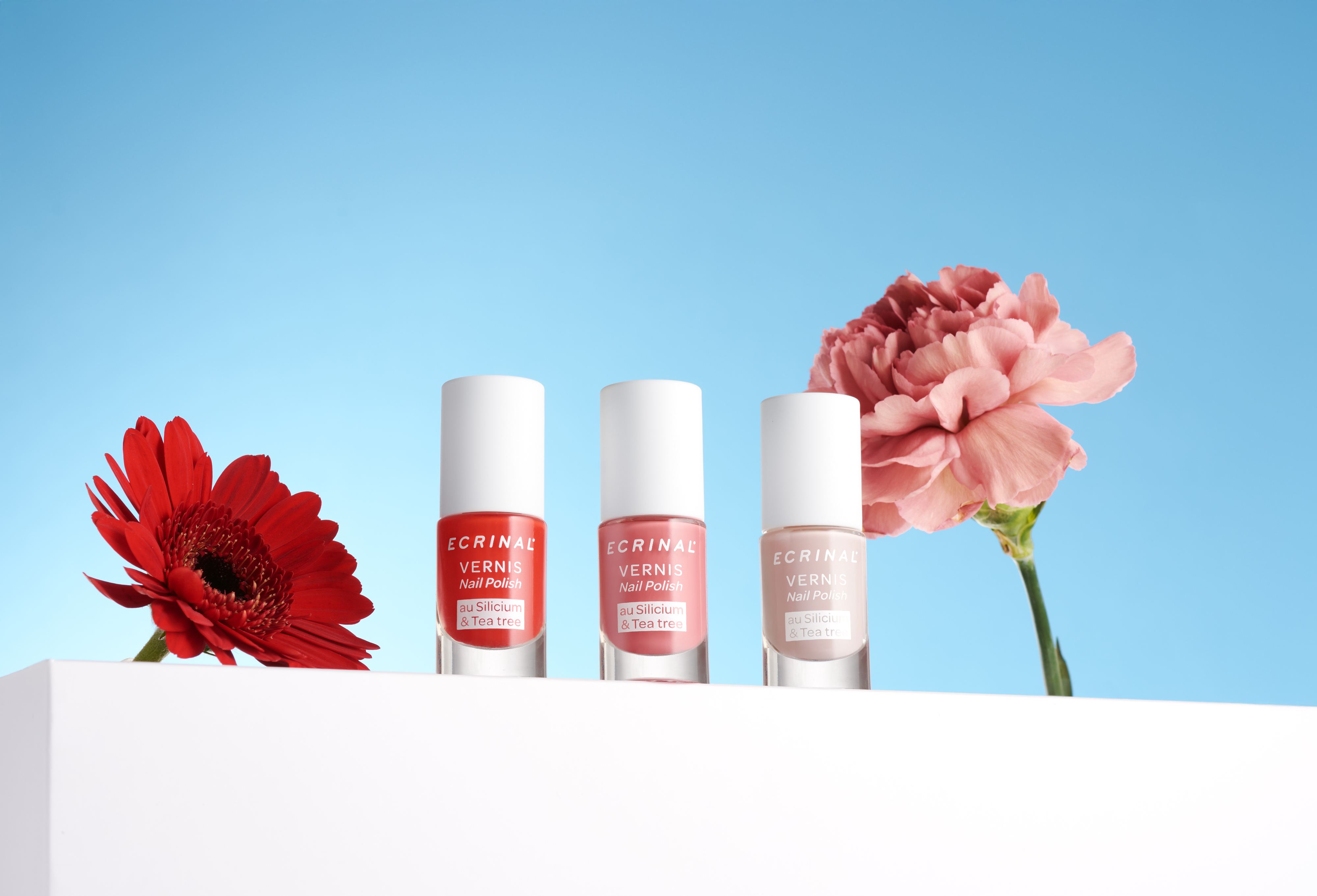 Estes novos vernizes têm cores perfeitas para a primavera, deixam-lhe as unhas fortes e não chegam aos 5€