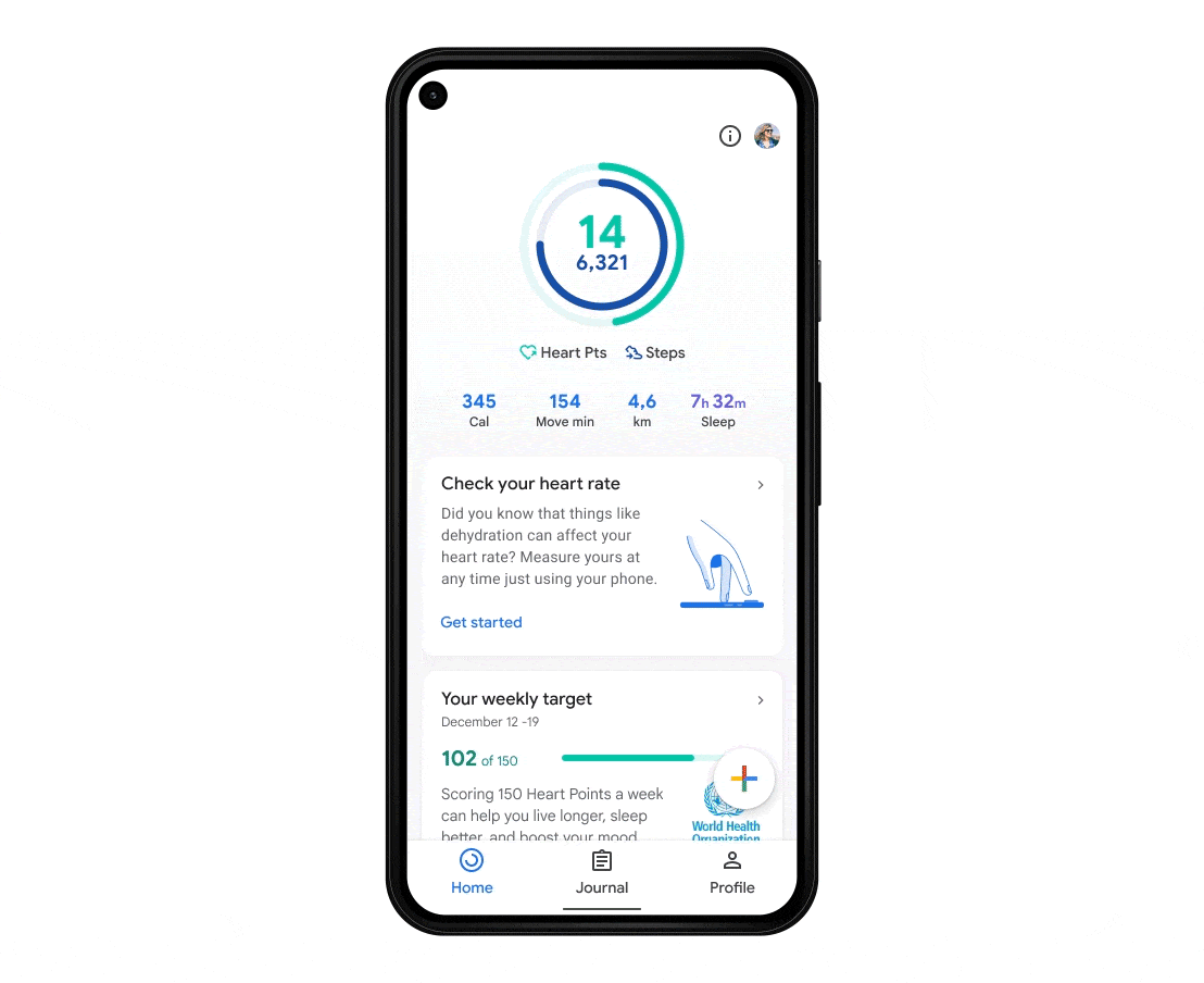 Tek Google Fit 