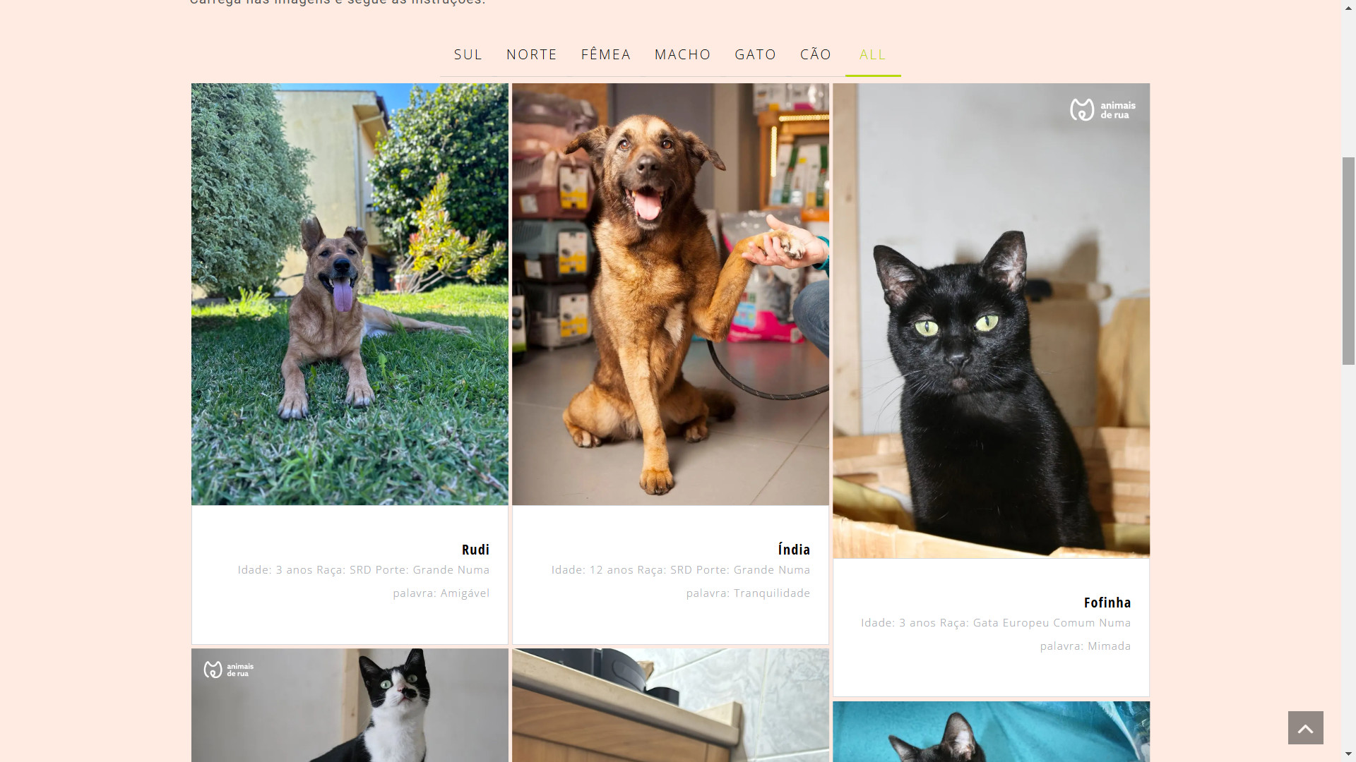 Réveillon com ousadia e sensualidade (e espetáculos de ficar sem fôlego). Saiba onde e por quanto