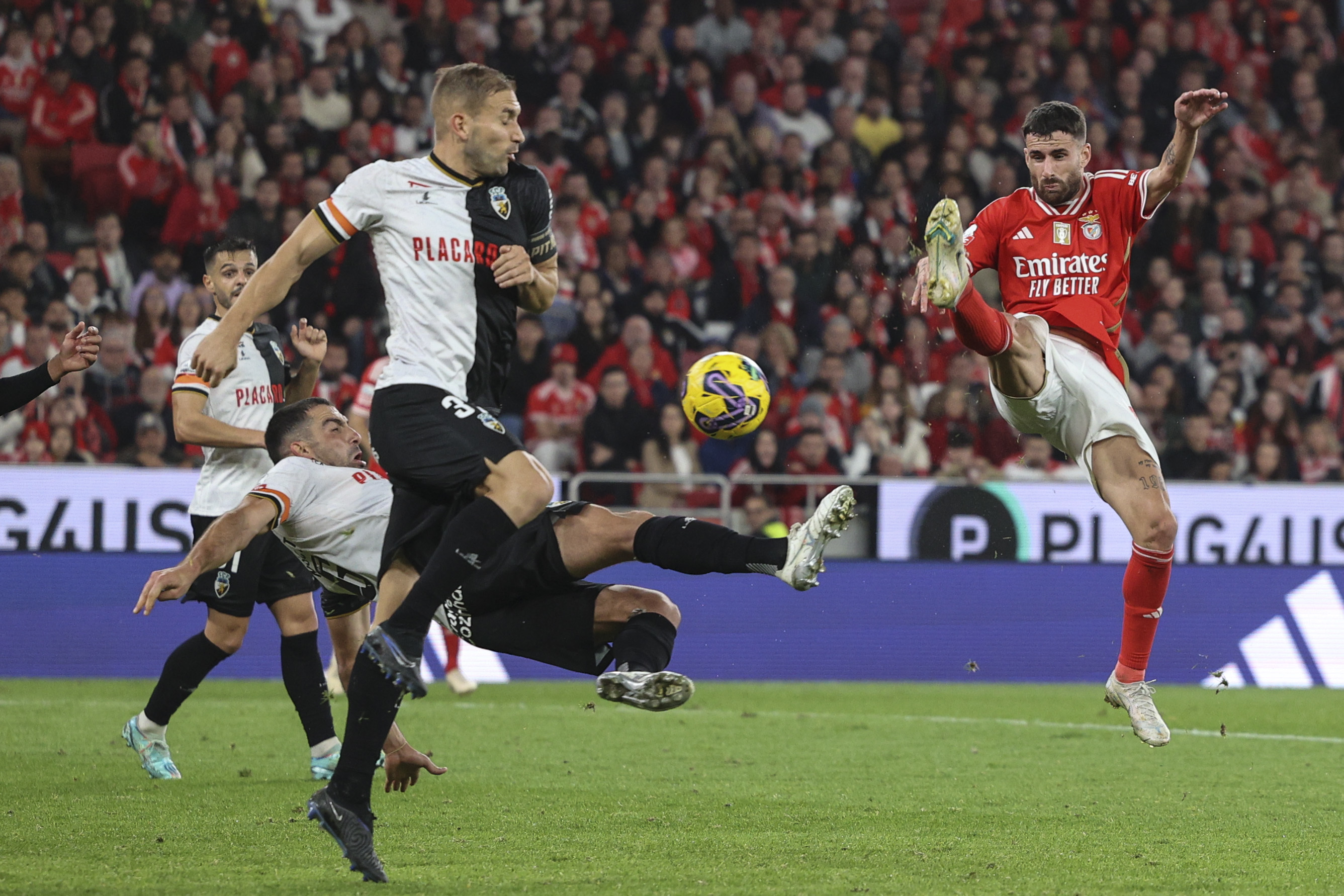 Schmidt visa adeptos do Benfica: «Se não respeitam, fiquem em casa e voltem  quando formos campeões Se pretendem um treinador que faça as  substituições que querem, vou embora. Sempre disse que se