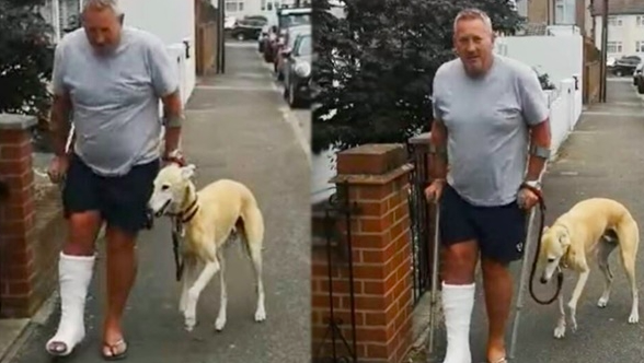 Cão começa a coxear por empatia ao dono, que tinha partido o tornozelo. Veja o vídeo cómico