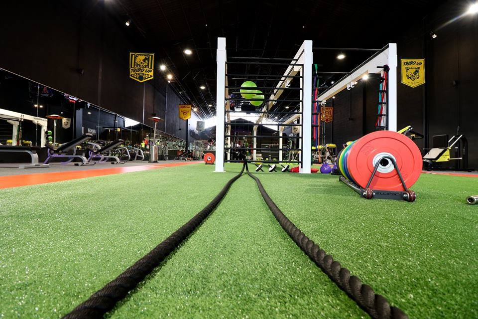 Fitness Up. Há néons, paredes de tijolo e grafites no novo ginásio do Porto