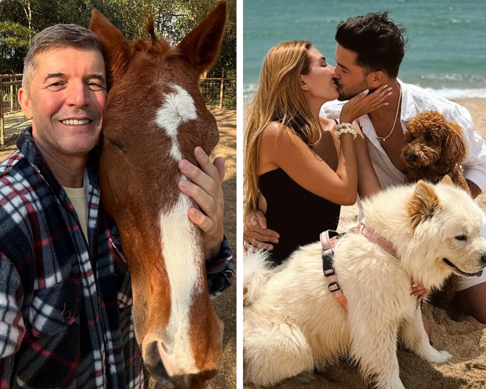 De cães a éguas. Espreite 20 fotos de celebridades portuguesas com os animais de estimação mais fofos