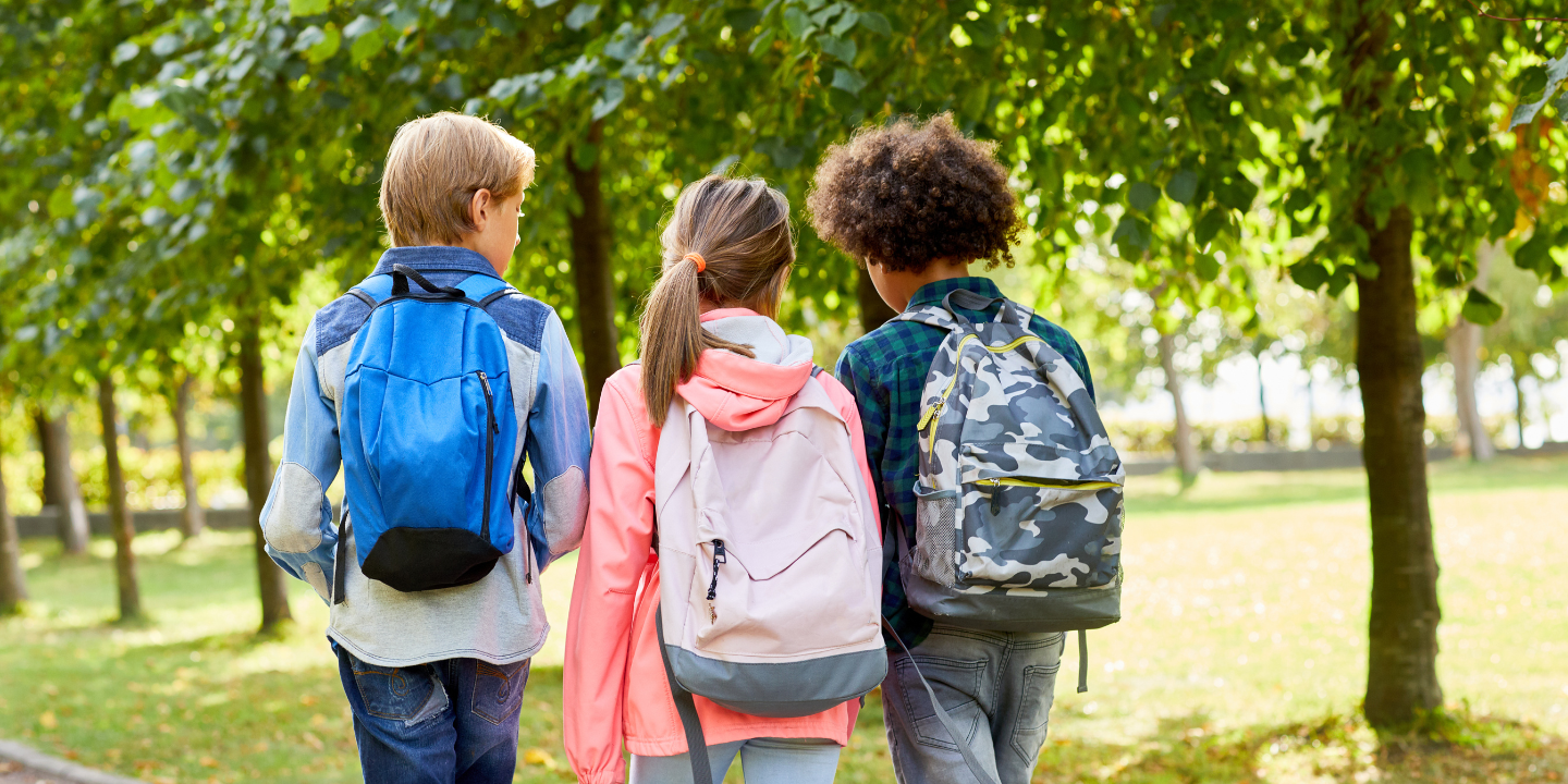 Famílias estimam gastar mais 100€ no regresso às aulas do que em 2022. Custos podem ultrapassar os 800€