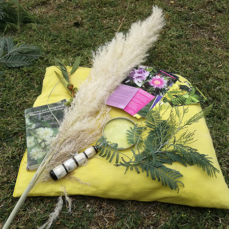 Mulher encontra jacaré com 180 quilos e mais de 3,5 metros na piscina. Animal foi abatido