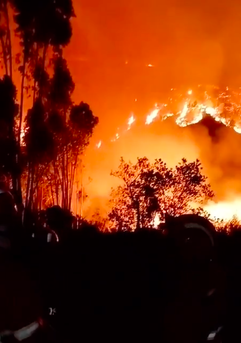 Incêndio em Odemira. Festivaleiros no MEO Sudoeste captam imagens da destruição (veja os vídeos)