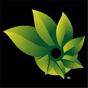 A saia mais cool do Instagram (e outras peças em padrão leopardo)