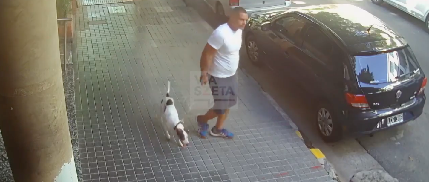 Câmara apanha homem a amarrar a cadela e a abandoná-la. A reação do animal é devastadora (vídeo)