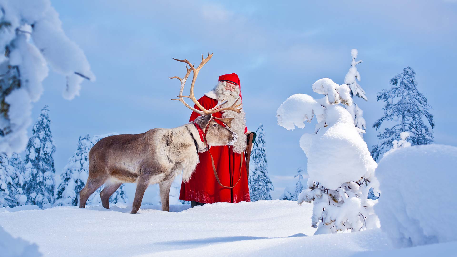 À procura de um trabalho diferente? Pode ser o ajudante do Pai Natal na Lapónia