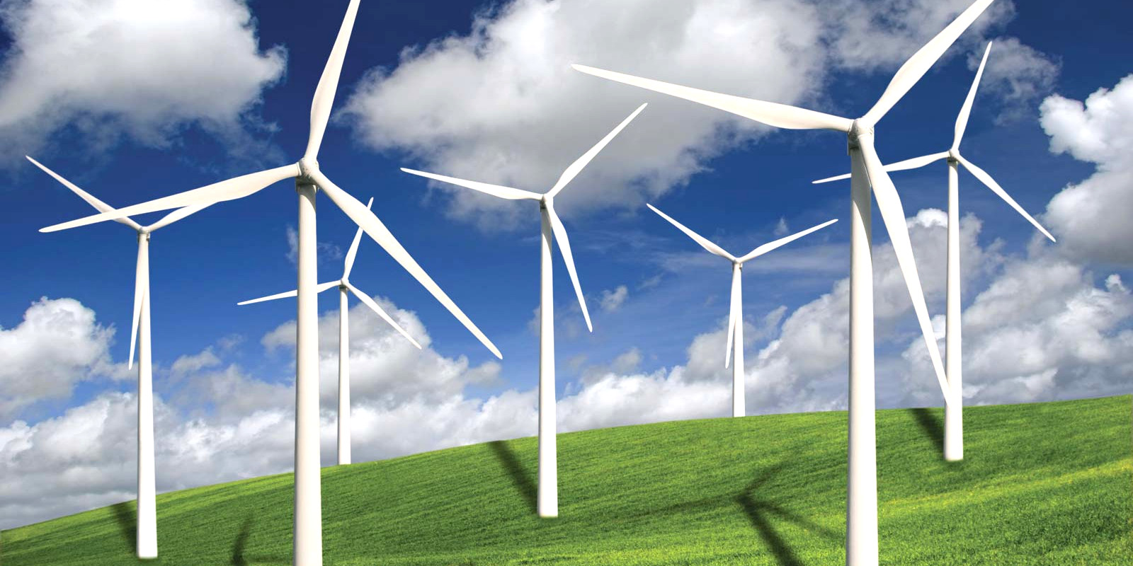 Parlamento Europeu aprova novas metas para aumentar o uso de energias renováveis