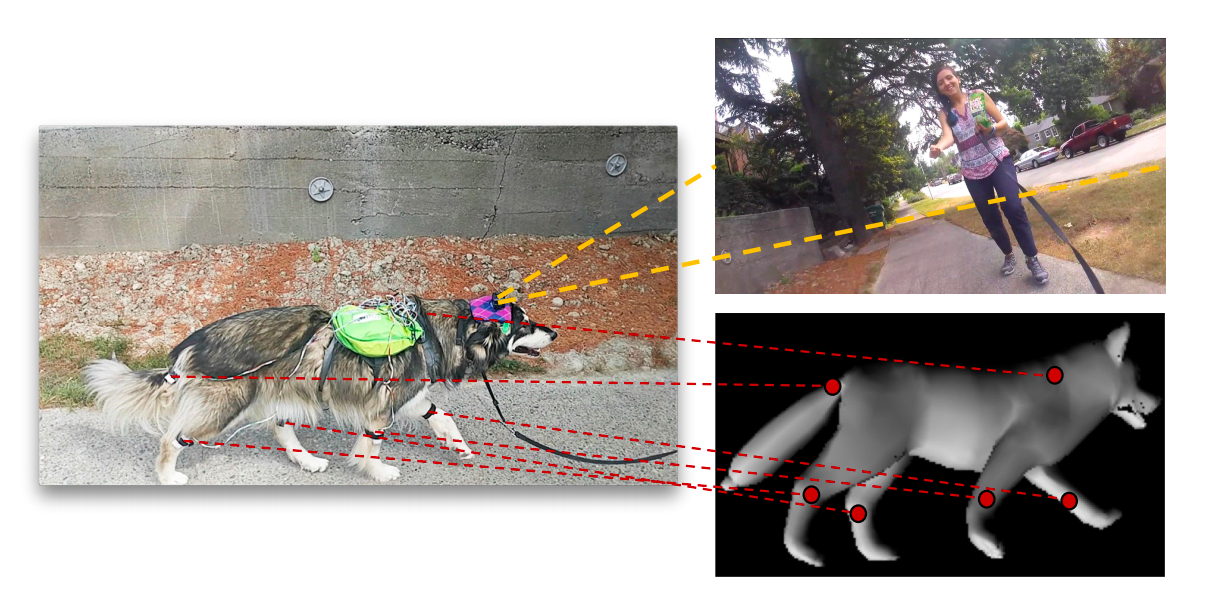 COVID-19. Há mais dez mortes e 365 novos casos de infeção em Portugal