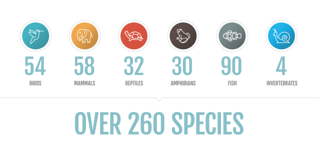 15 pratos e sabores dos Açores a São Tomé. Terá barriga para esta experiência única?