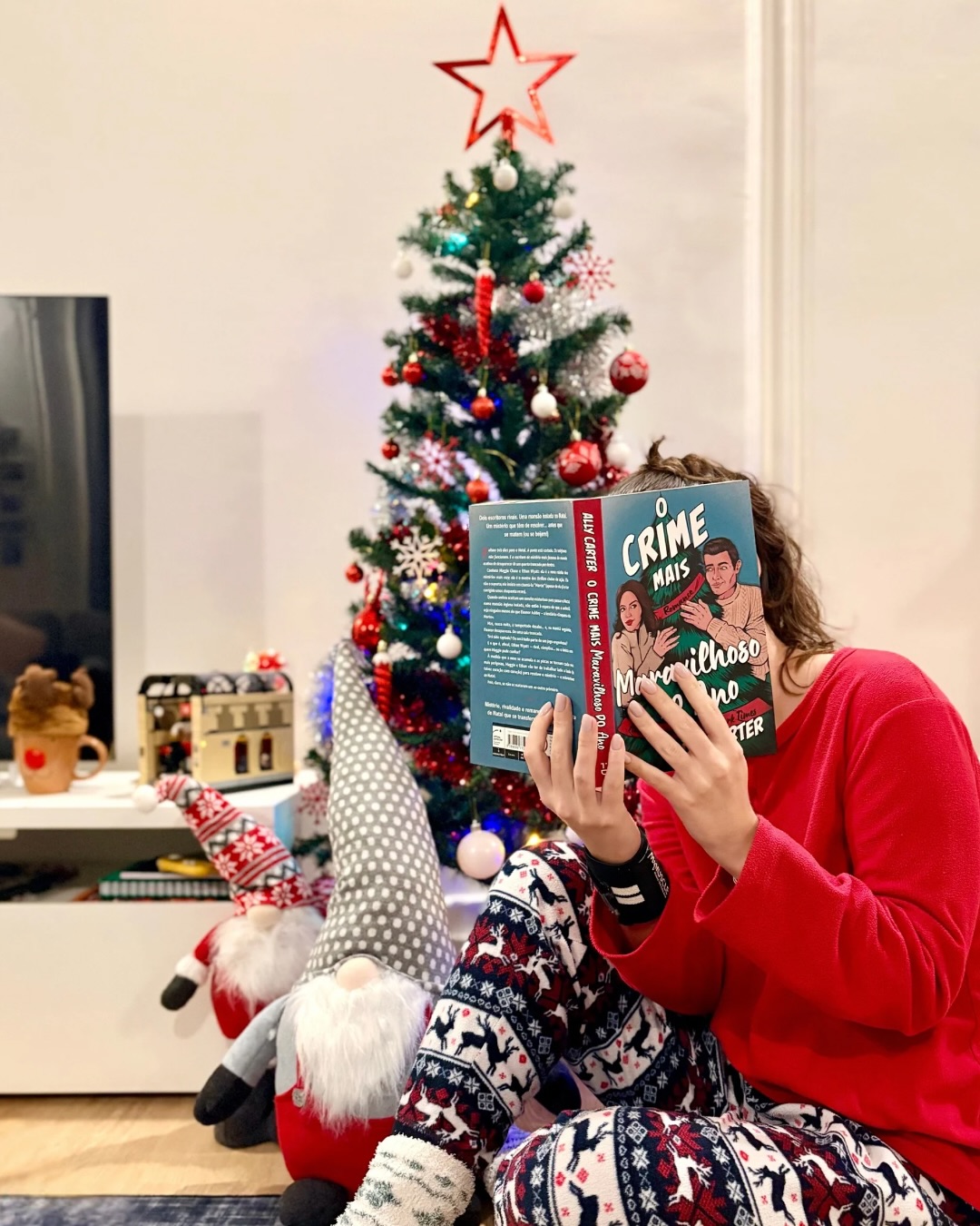 Ação, mistério e espírito natalício. Já chegou às livrarias um novo thriller que vai surpreender até os mais desconfiados