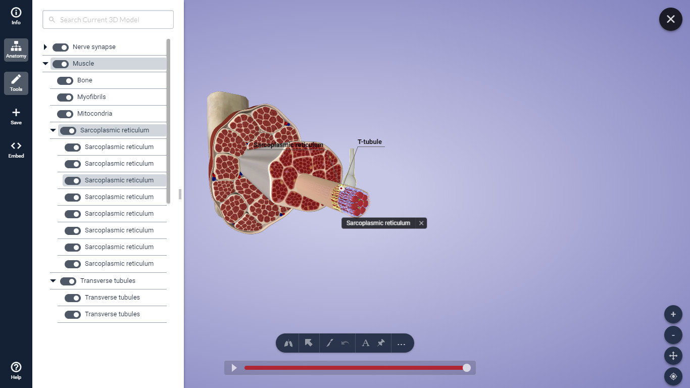 As cadeiras de esplanada têm uma história para contar. E tem mais de 100 anos