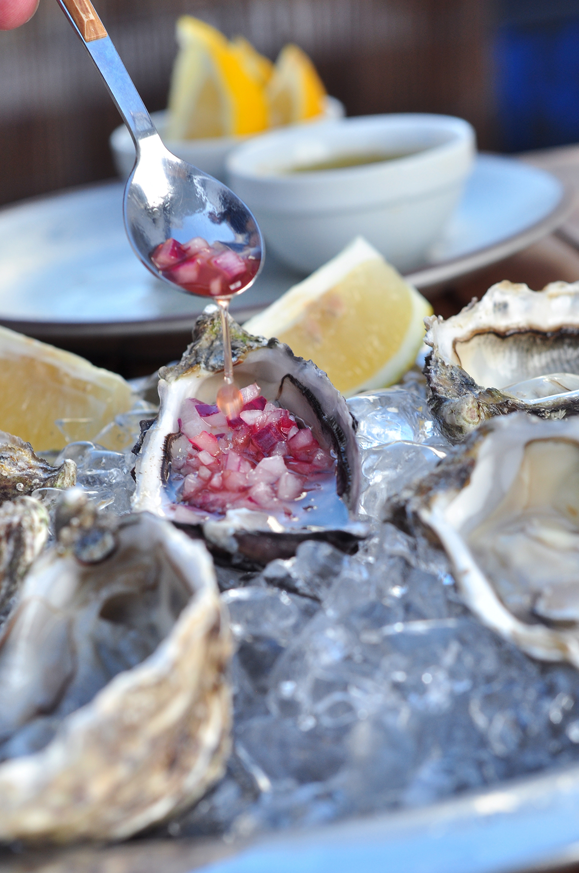 Ostras fresquinhas a 2€? Pode prová-las no La Contessa, em Cascais. Descubra quando