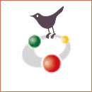 Mãe foi criticada no TikTok por furar as orelhas à sua bebé com 1 dia de vida. Quais são os perigos associados?