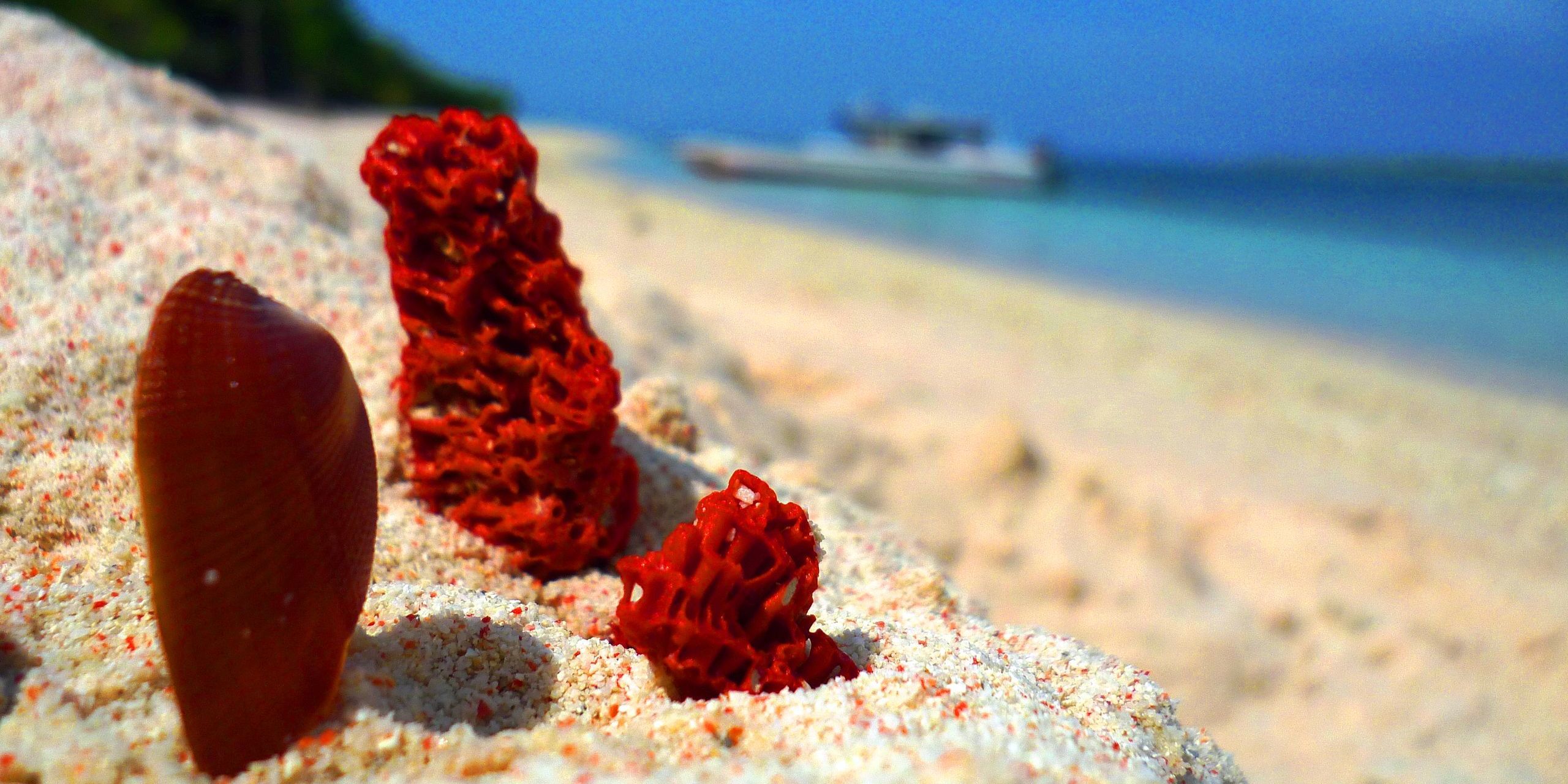 Parecem montagens mas não são: 20 praias que desafiam a imaginação