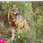 A TAP está com descontos e pode ir a Barcelona por 27€ ou a Nova Iorque por 226€