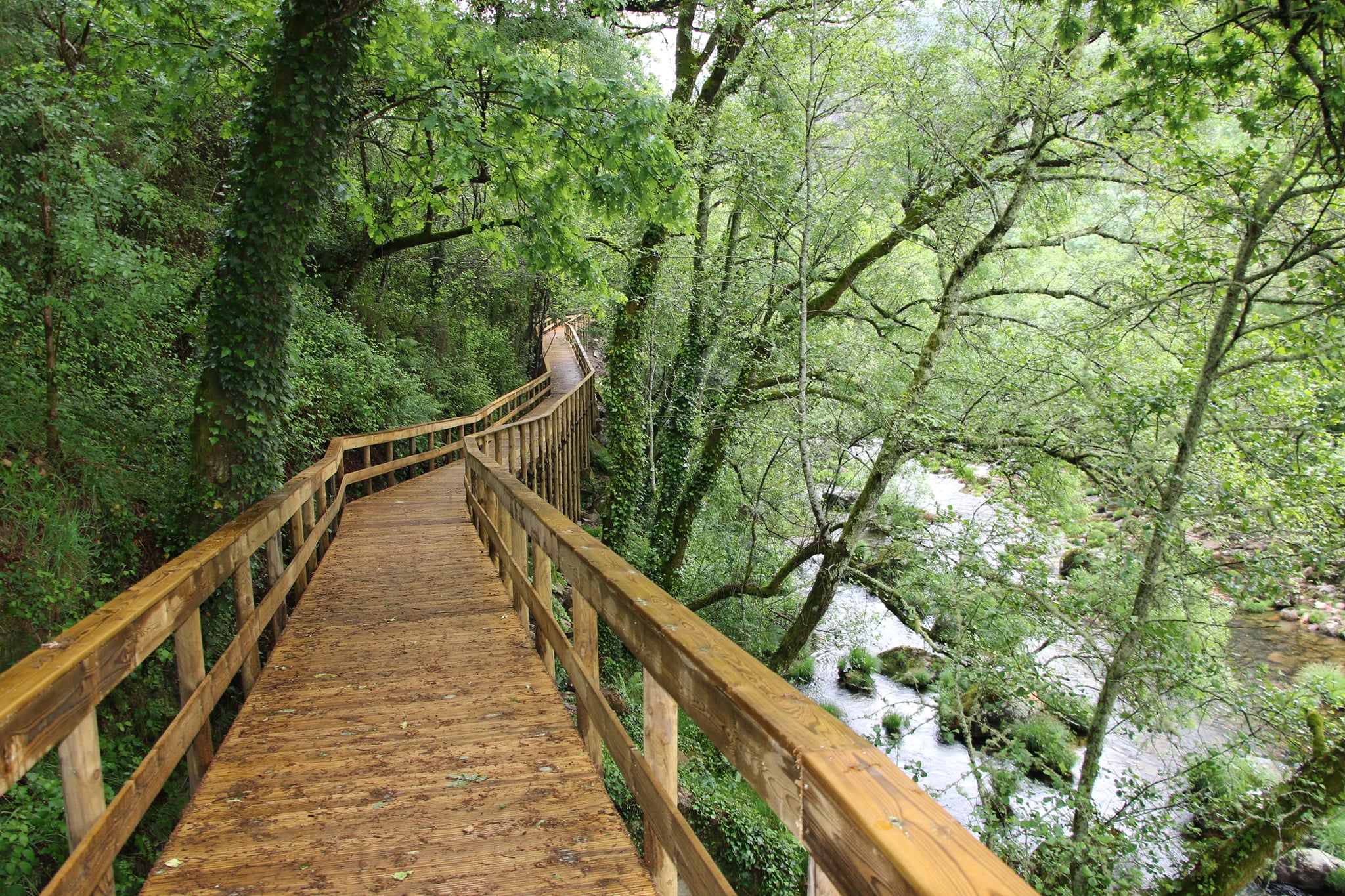 Há novos passadiços para percorrer este verão com o rio Vez como pano de fundo