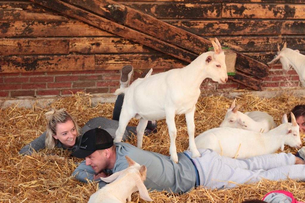 Do ioga com cabras à batalha das uvas. As 25 experiências culturais preferidas dos turistas