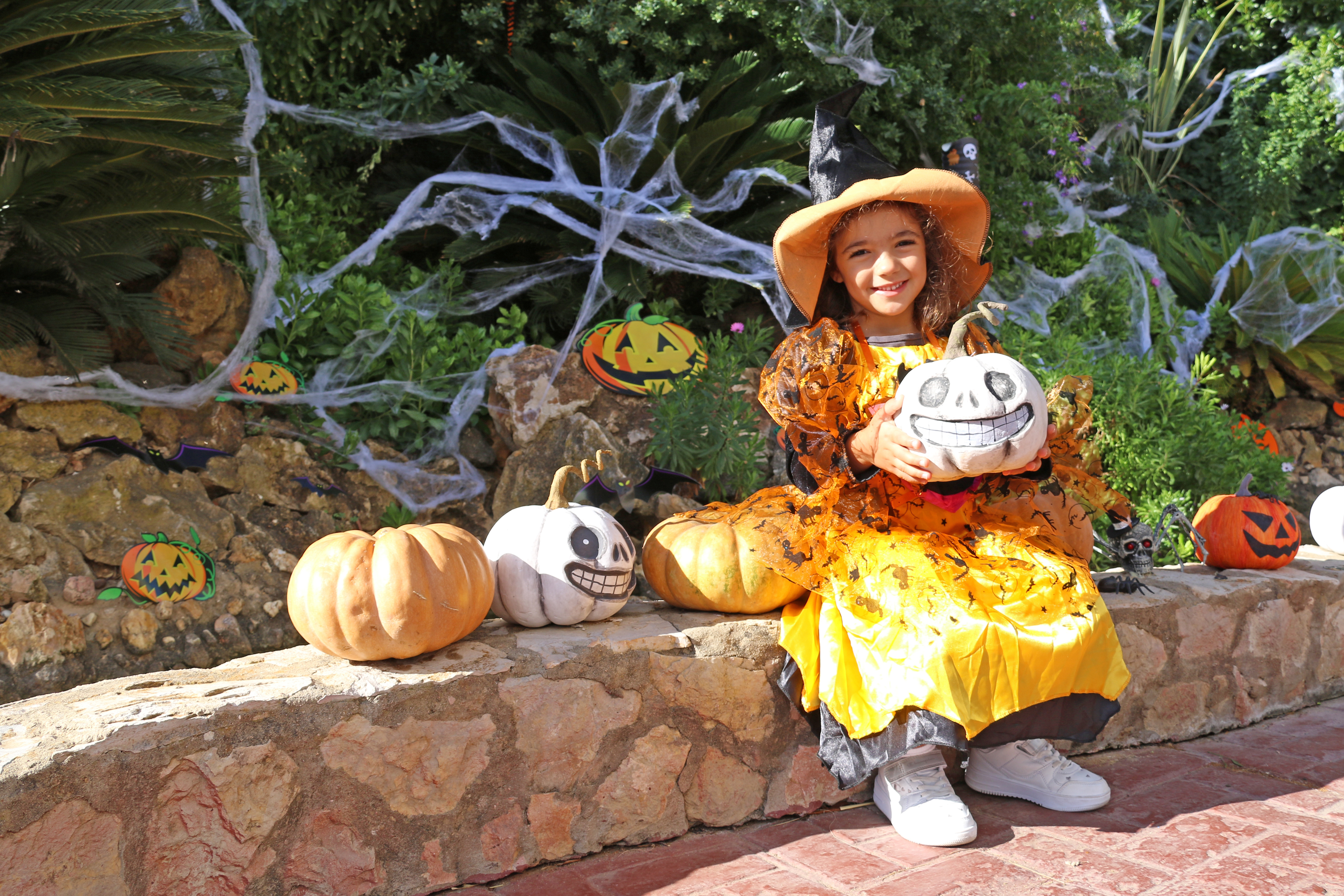 Zoomarine mesmo no outono. Parque vai celebrar o Halloween com os mais pequenos. Saiba tudo